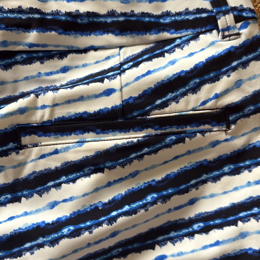 NWT! SPANX sunshine short. Blue painted stripe. Inseam: 4”=S&M. 6”=XL. $68 - Picture 6 of 15